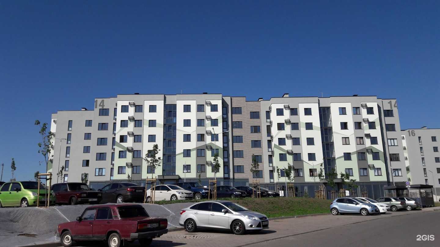 Отзывы на компанию Груминг салон в Белгороде c фото - фотография 2 из 2