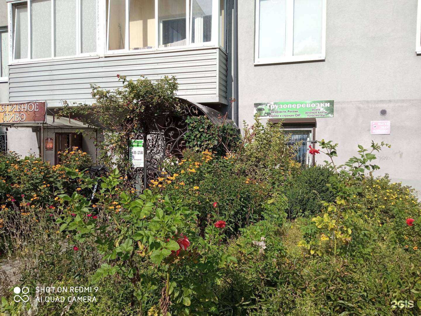 Отзывы на компанию Авто вита в Калининграде c фото