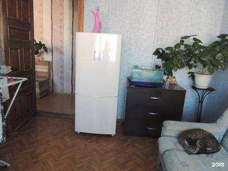 Отзывы на компанию Динамо Плюс в Кемерове c фото