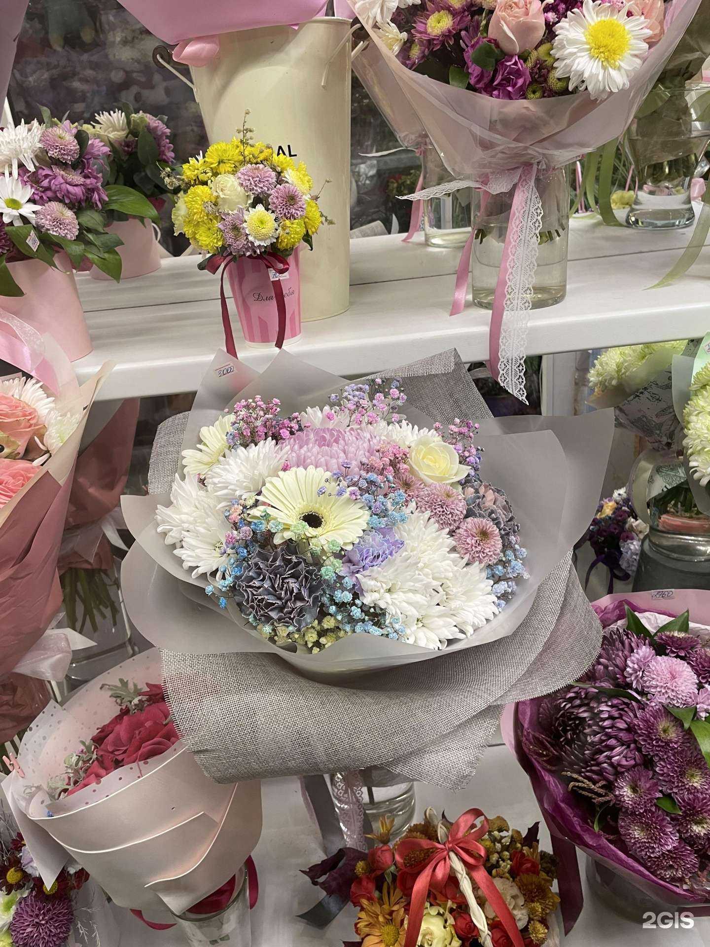 Отзывы на компанию Василек в Краснодаре c фото