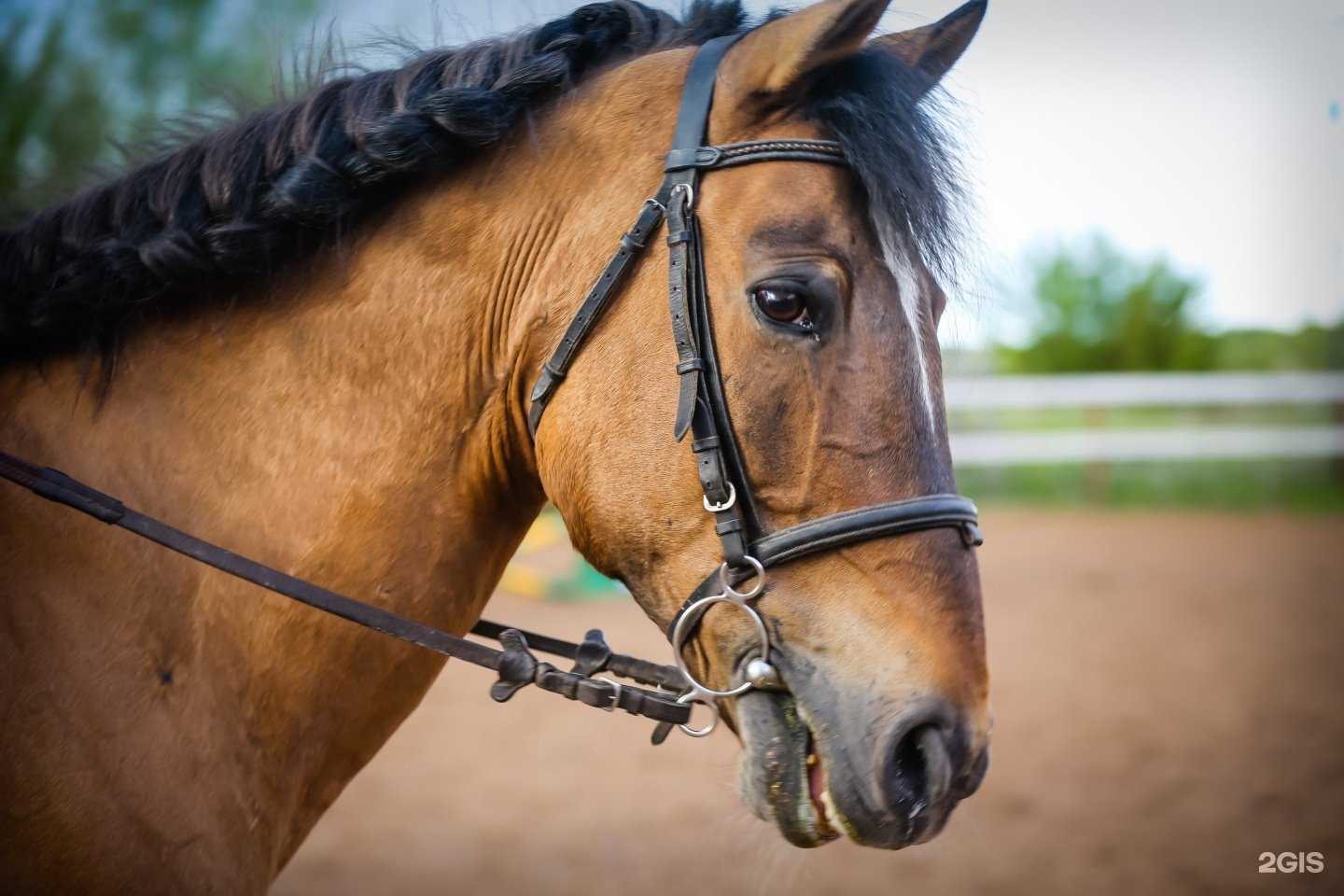 Отзывы на компанию Марков и К в Оренбурге c фото