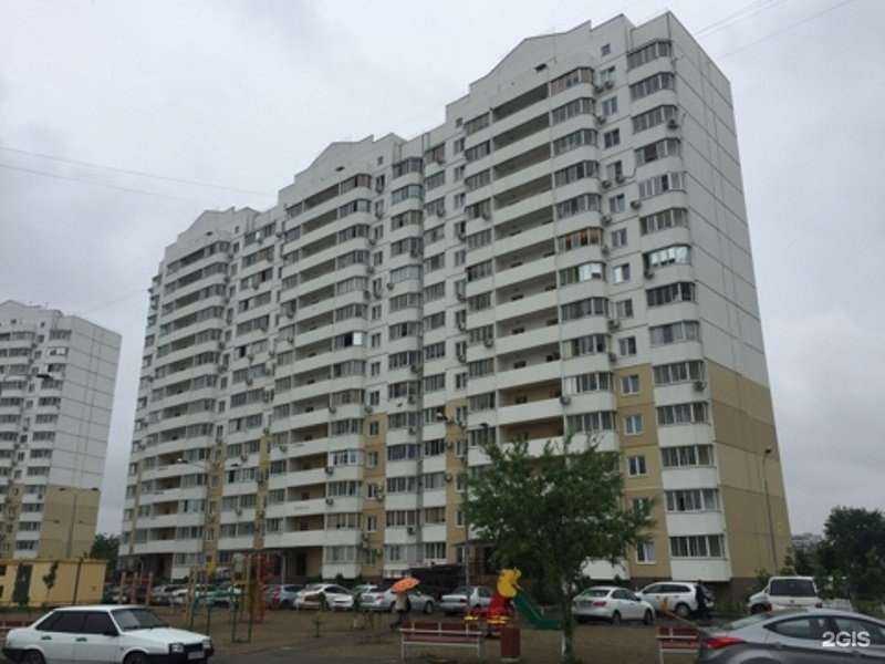 Отзывы на компанию Кот Лео в Краснодаре c фото - фотография 2 из 2