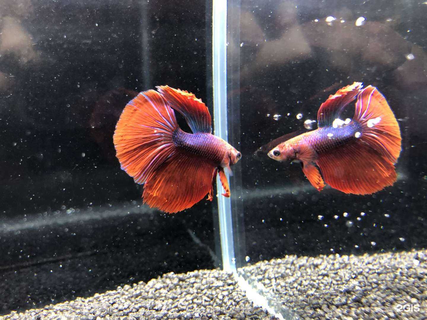 Отзывы на компанию Природа в Новом Уренгое c фото