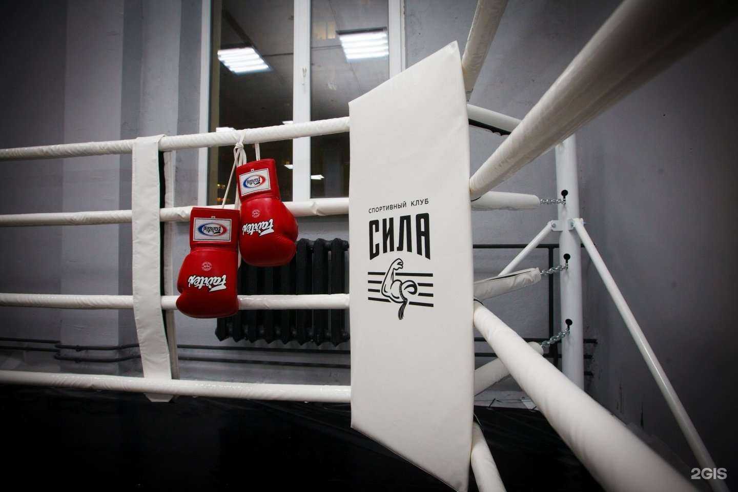 Отзывы на компанию Сила в Уфе c фото