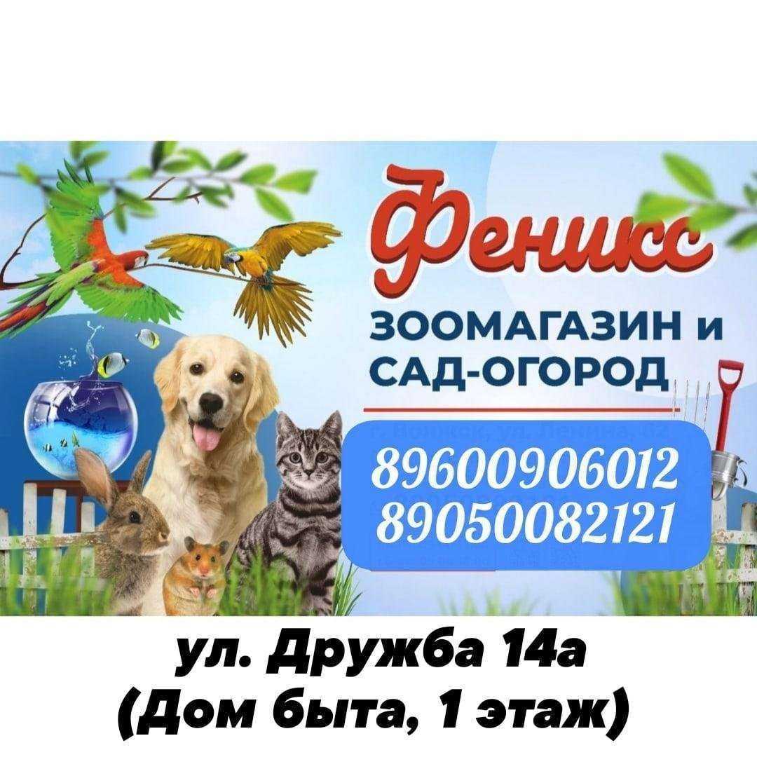 Отзывы на компанию Феникс в г. Волжск c фото