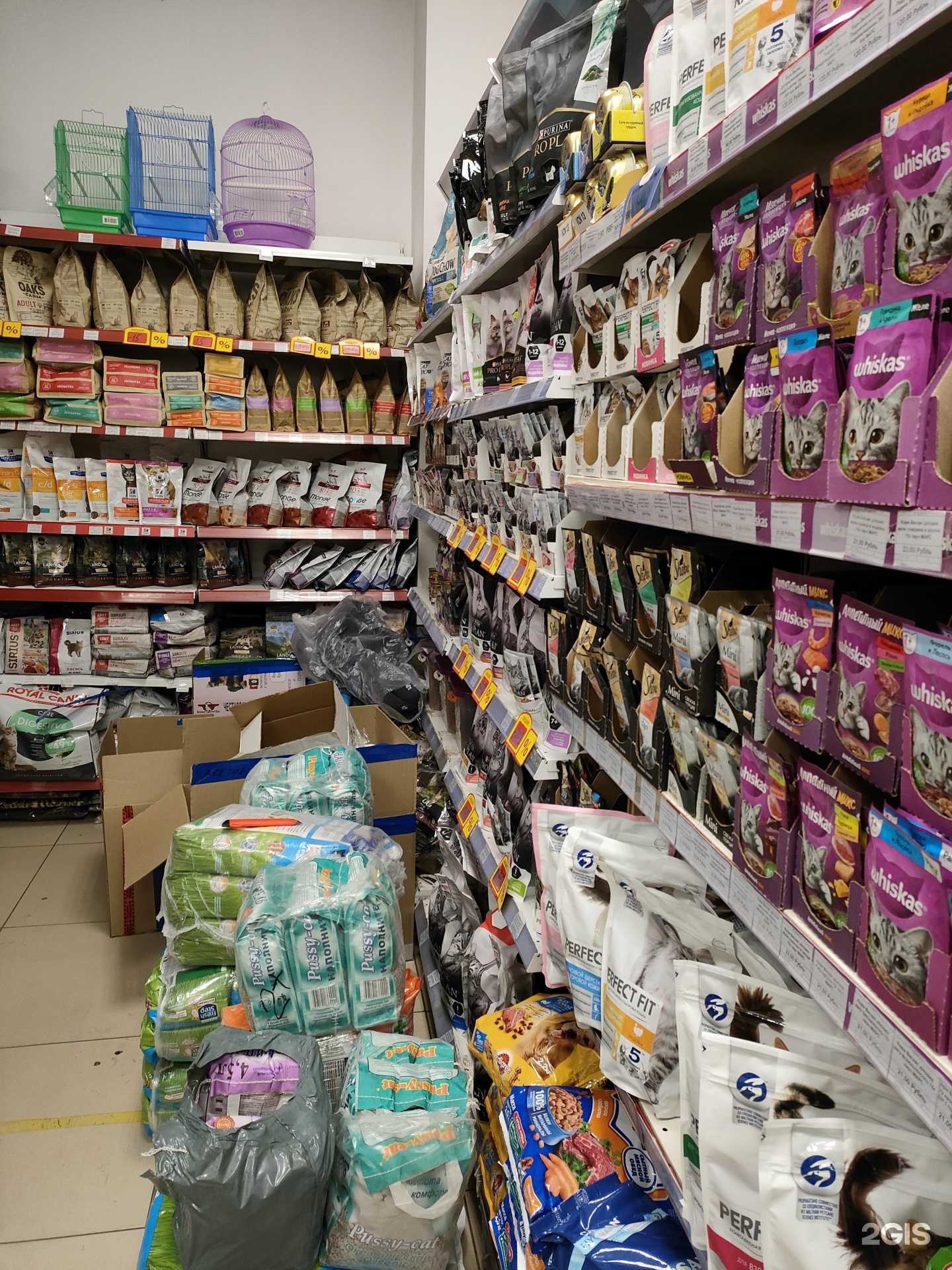 Отзывы на компанию Енотик в г. Курск c фото