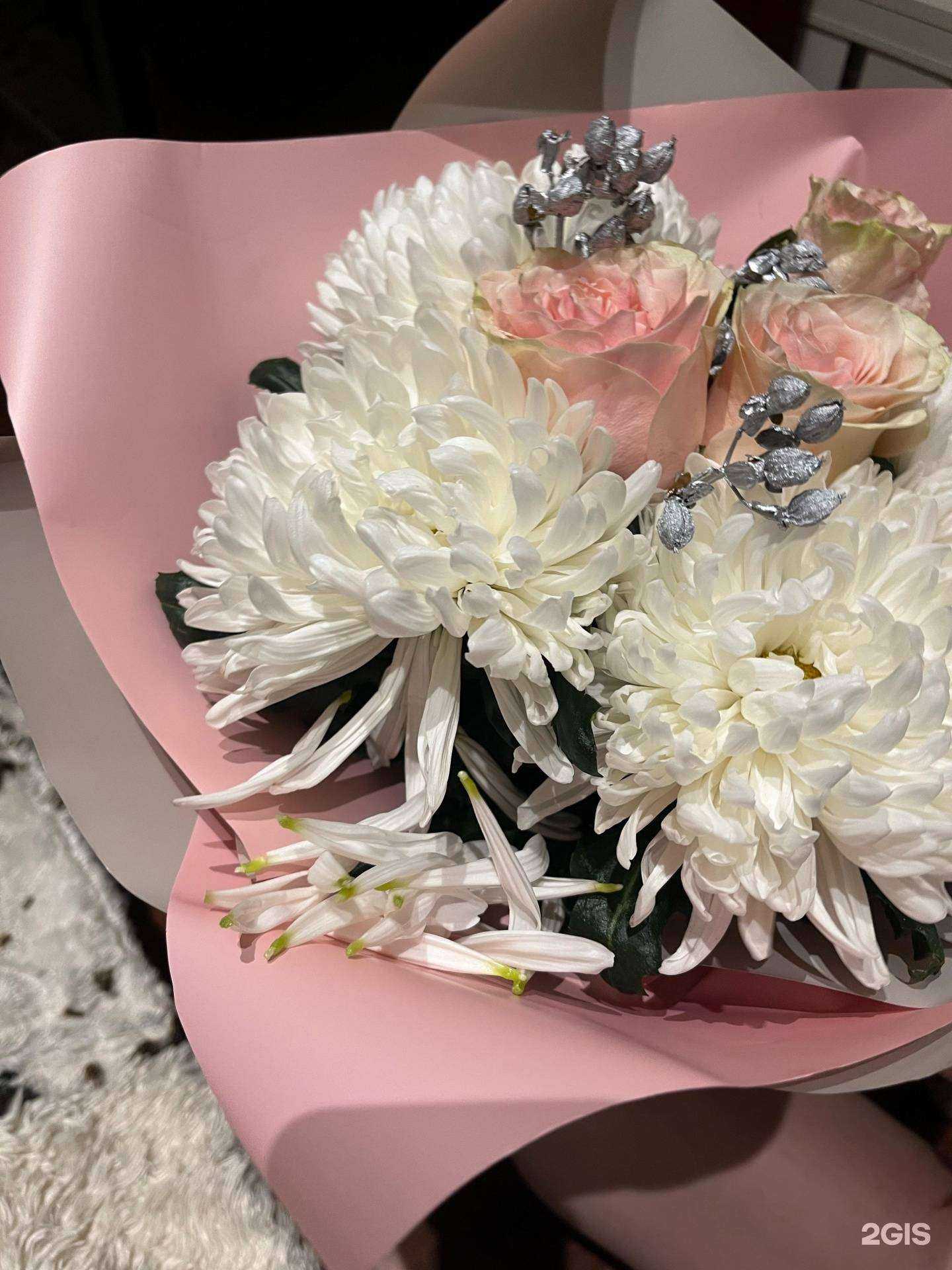 Отзывы на компанию Клевер в г. Красноярск c фото