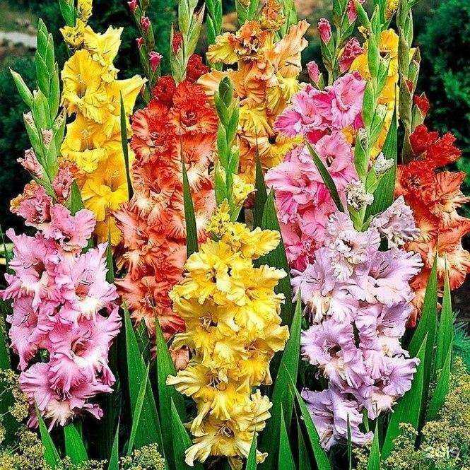 Отзывы на компанию Дачный дом в г. Самара c фото