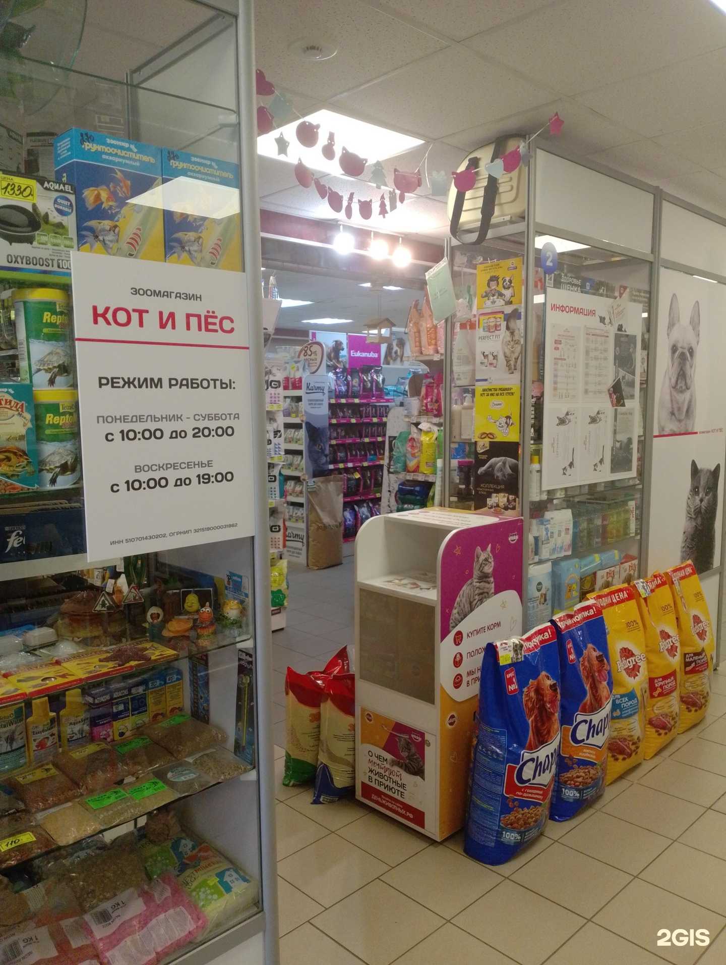 Отзывы на компанию Кот и пёс в Мончегорске c фото