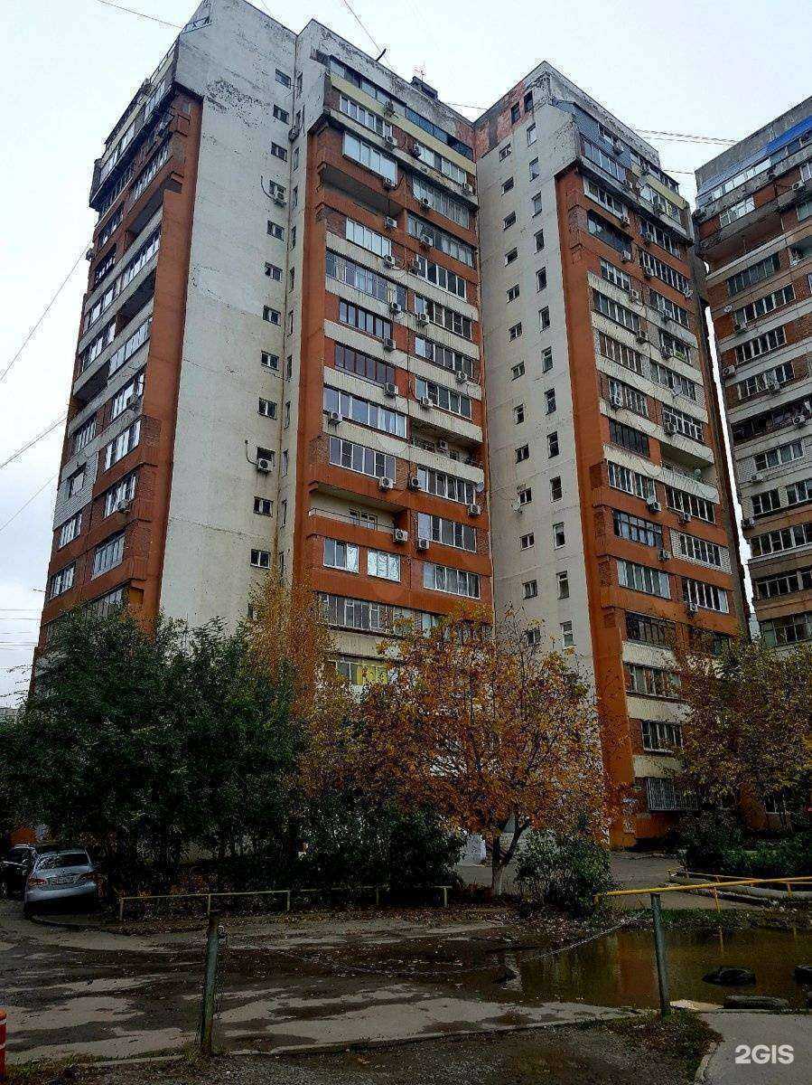 Отзывы на компанию Zooстиль в Ростове-на-Дону c фото - фотография 2 из 2