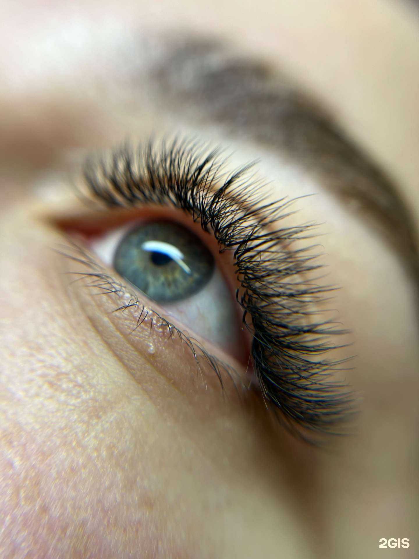 Отзывы на компанию Top line в Новосибирске c фото