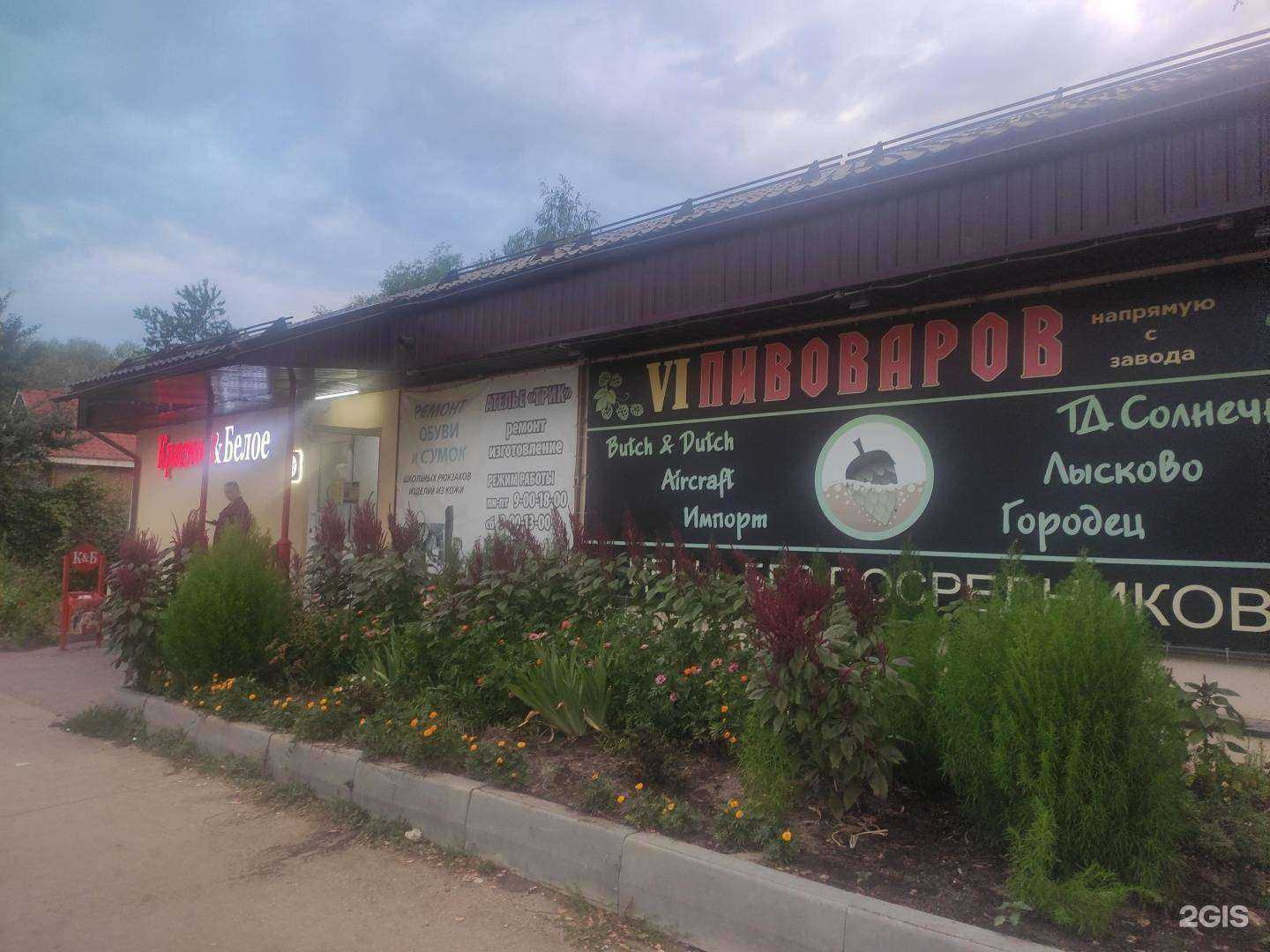 Отзывы на компанию Японика в Арзамасе c фото - фотография 2 из 2