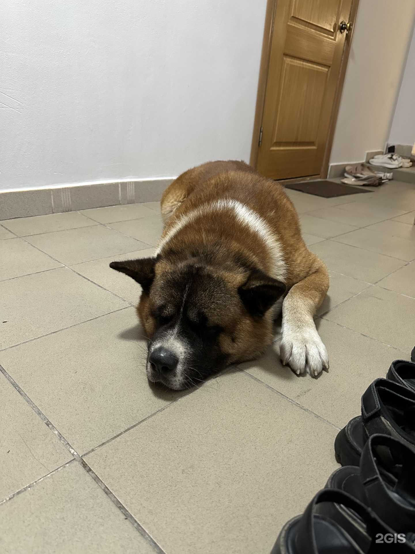 Отзывы на компанию Continental в Сочи c фото