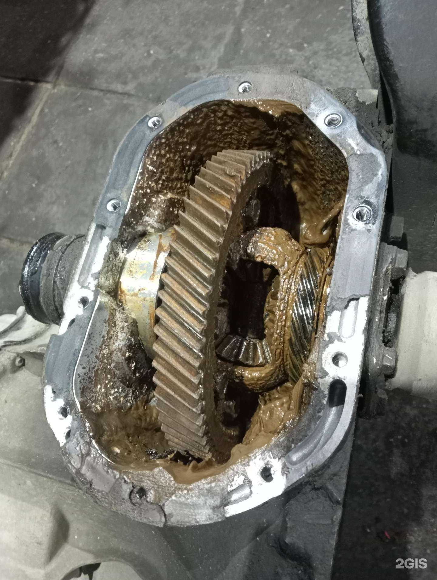 Отзывы на компанию MAXX Service Club в Тольятти c фото