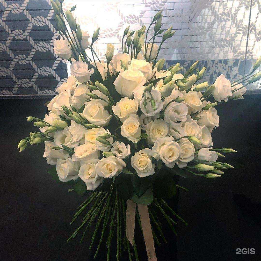 Отзывы на компанию Лейка в Самаре c фото