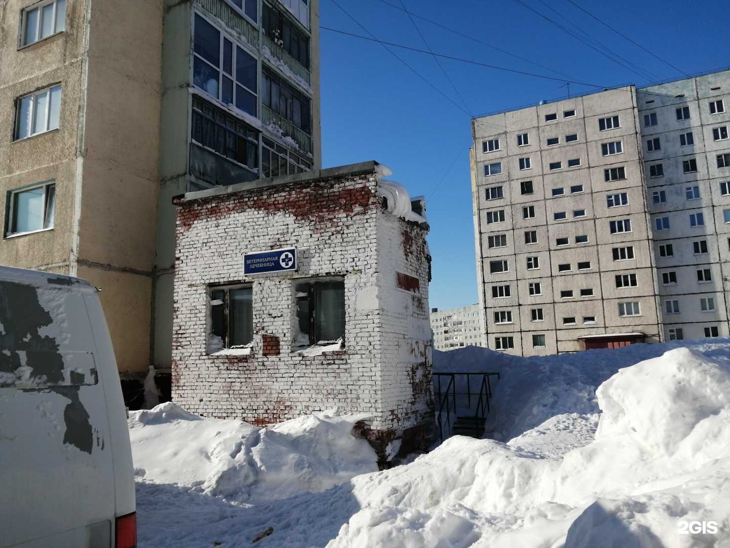 Отзывы на компанию Норильский отдел ветеринарии в Норильске c фото