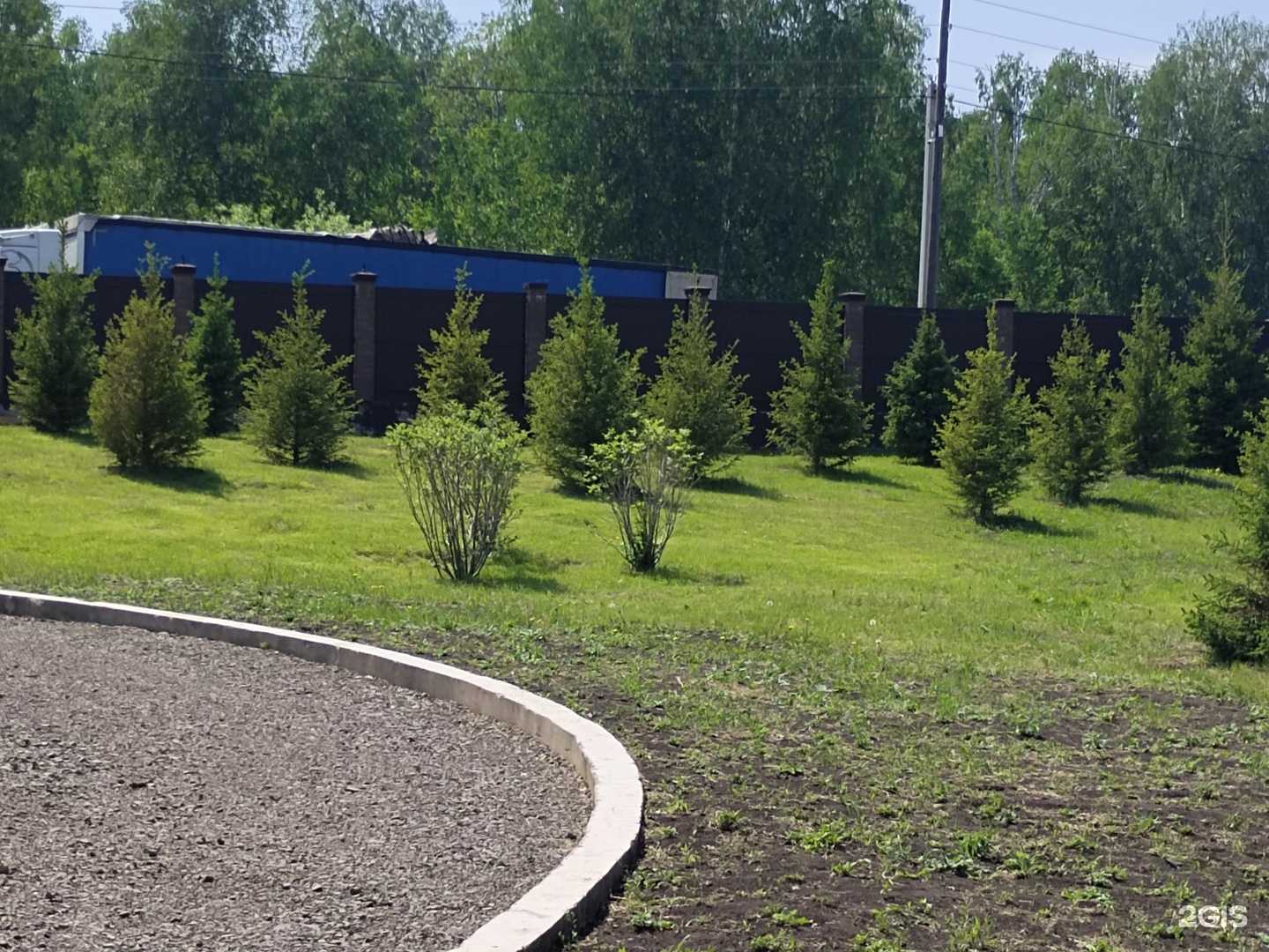 Отзывы на компанию Сибирский питомник в г. Красноярск c фото