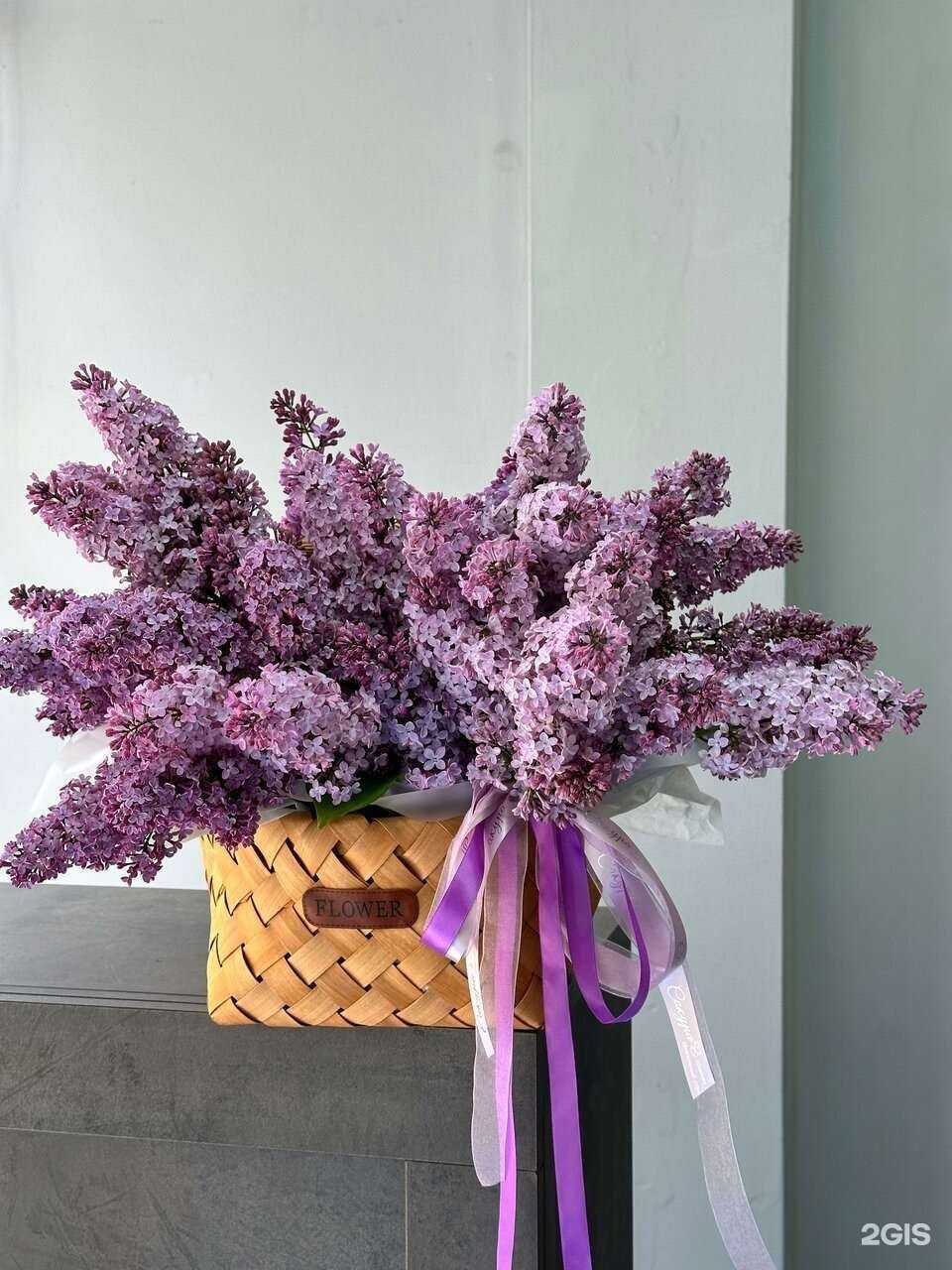 Отзывы на компанию Sakura в г. Махачкала c фото