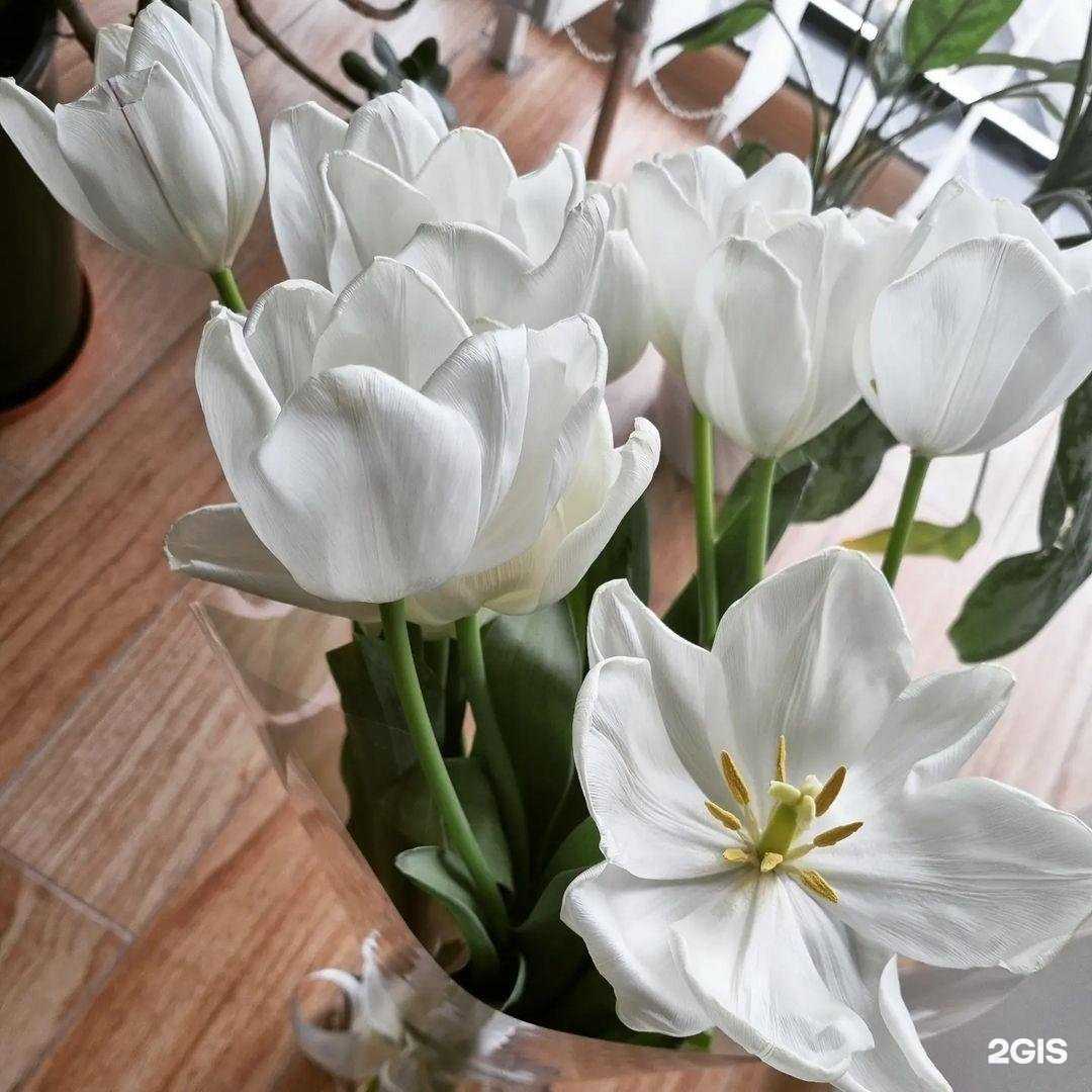 Отзывы на компанию Maslo в Краснодаре c фото