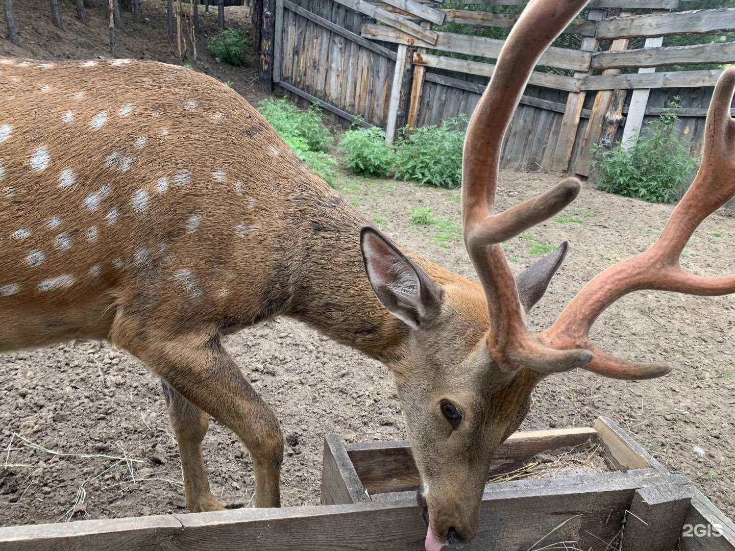Отзывы на компанию Комфорт на сутки в Улан-Удэ c фото - фотография 2 из 2