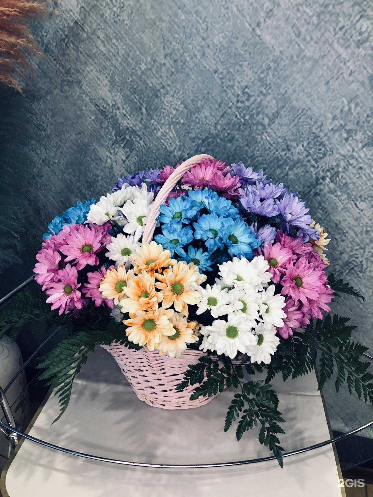 Отзывы на компанию Iris в Ангарске c фото