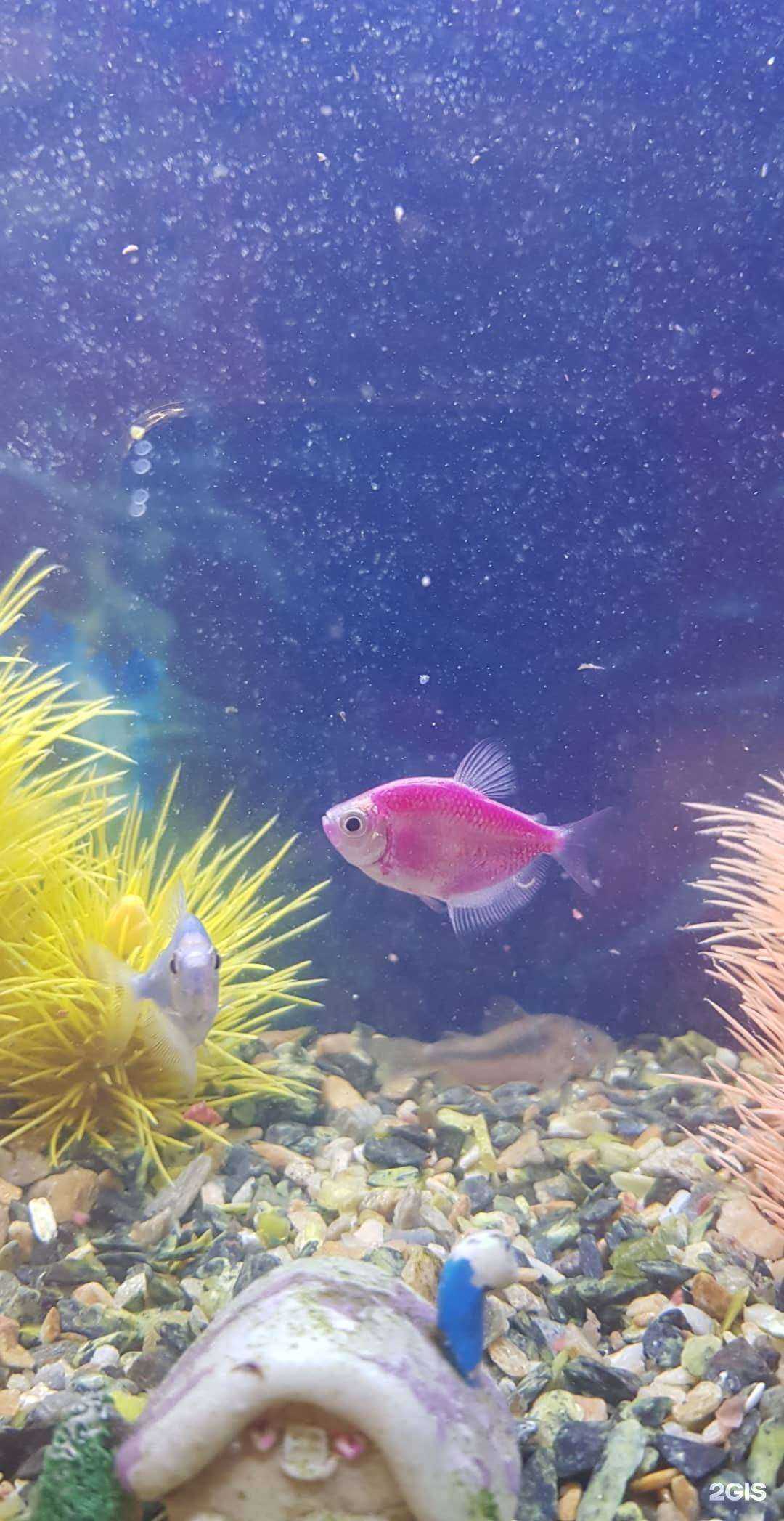 Отзывы на компанию Бонифаций в г. Новосибирск c фото