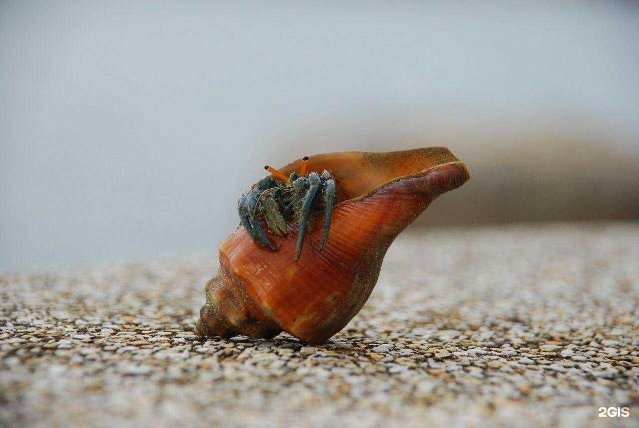 Отзывы на компанию Альфа альянс в Королёве c фото