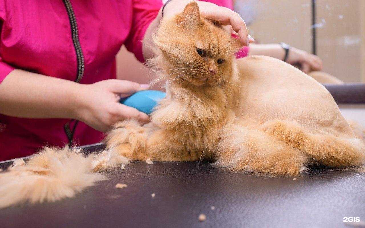 Отзывы на компанию GroomRoom в г. Уфа c фото