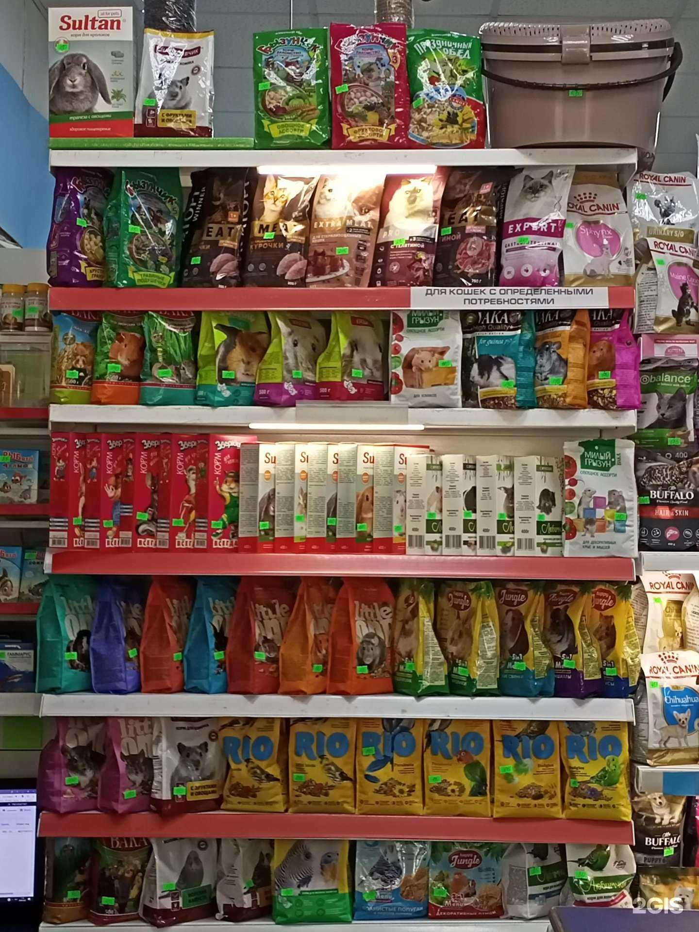 Отзывы на компанию Масяня в Астрахани c фото