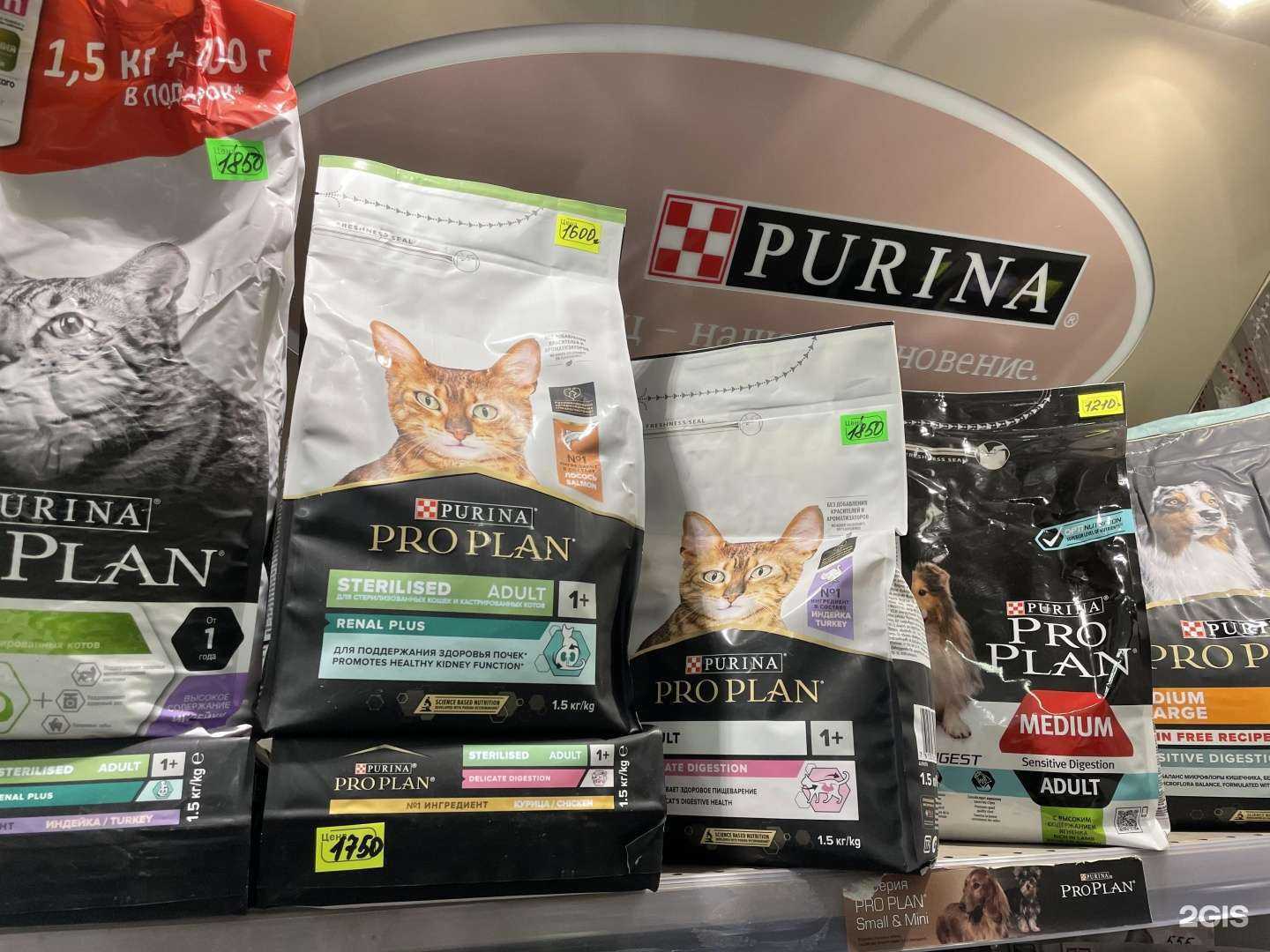 Отзывы на компанию Зоомагазин в Ульяновске c фото