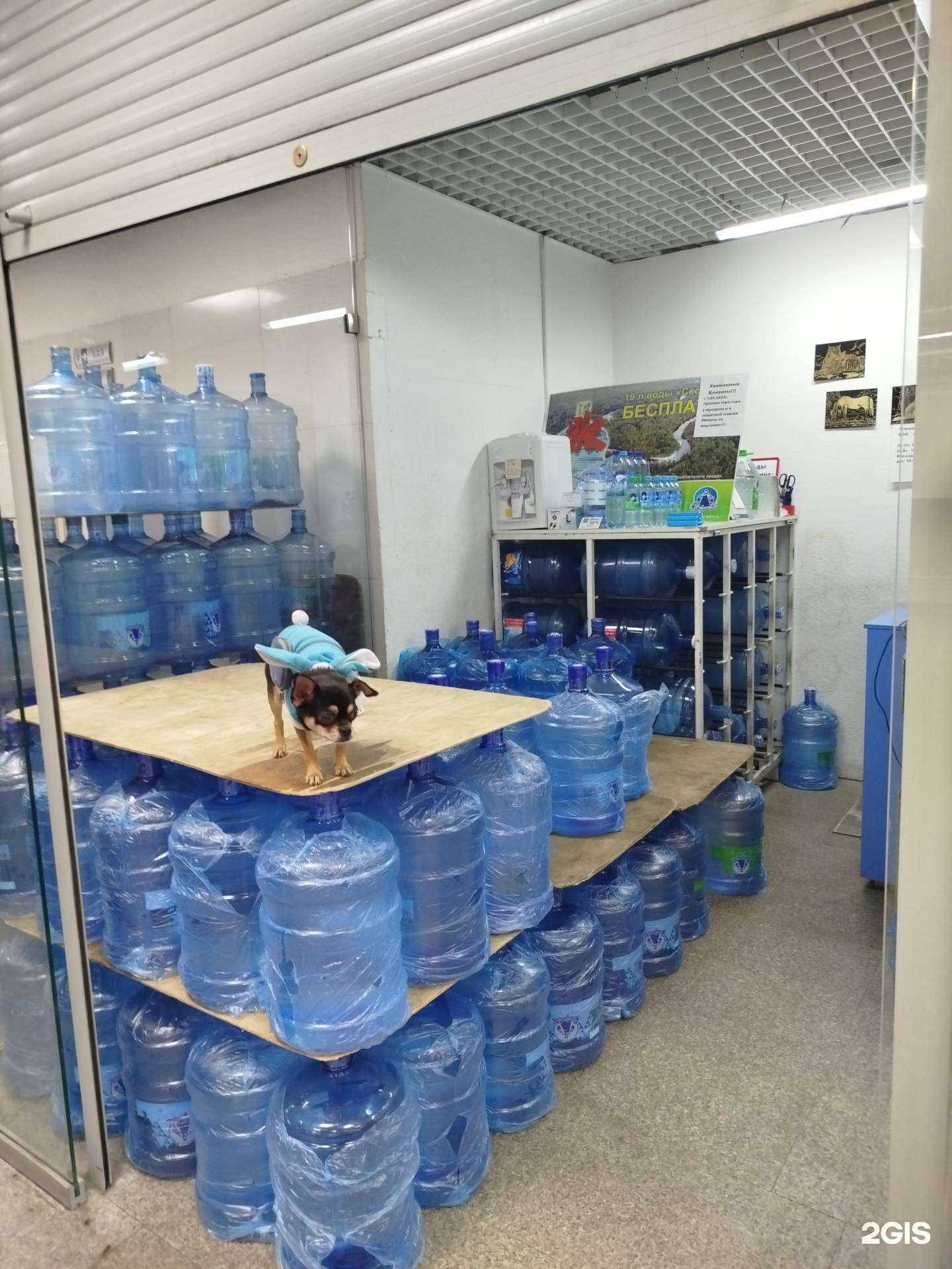 Отзывы на компанию Акватар в Кстове c фото