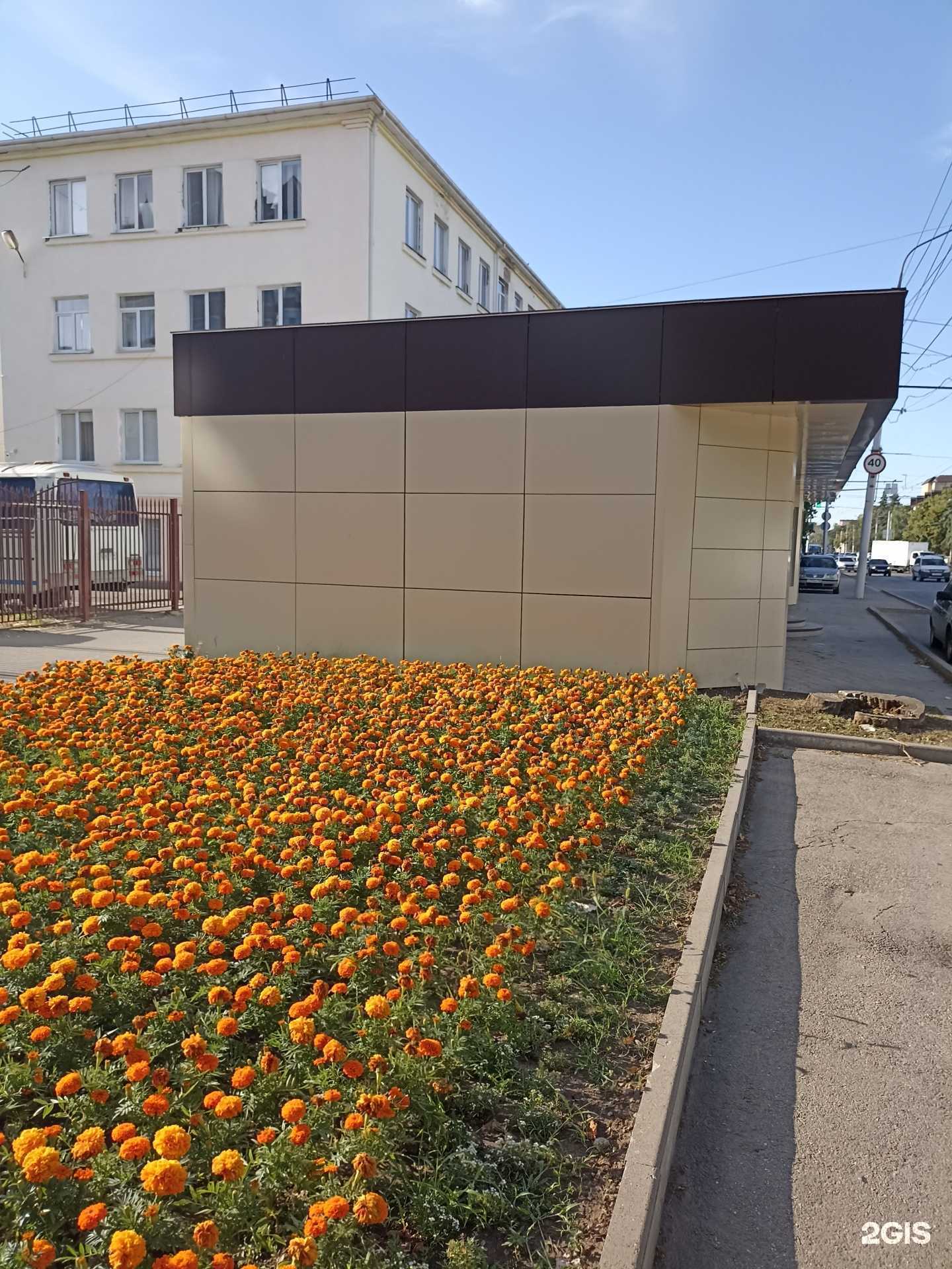 Отзывы на компанию Grand flora в Черкесске c фото