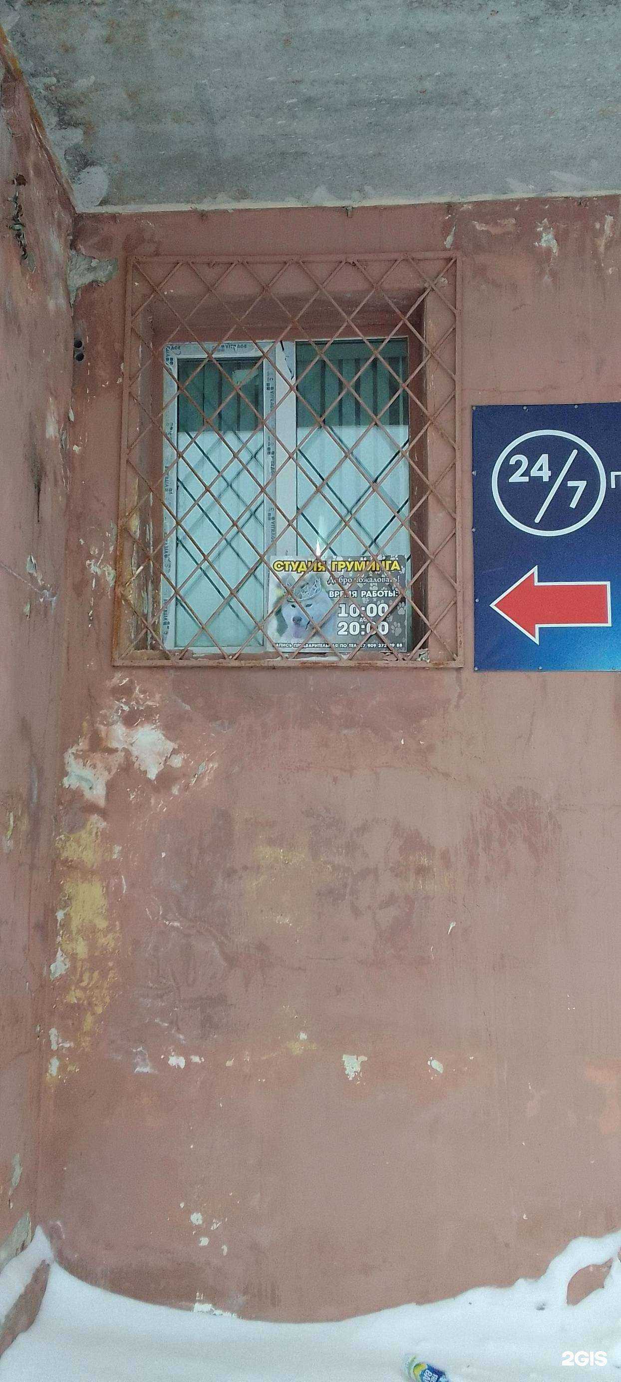 Отзывы на компанию Студия груминга в г. Владимир c фото