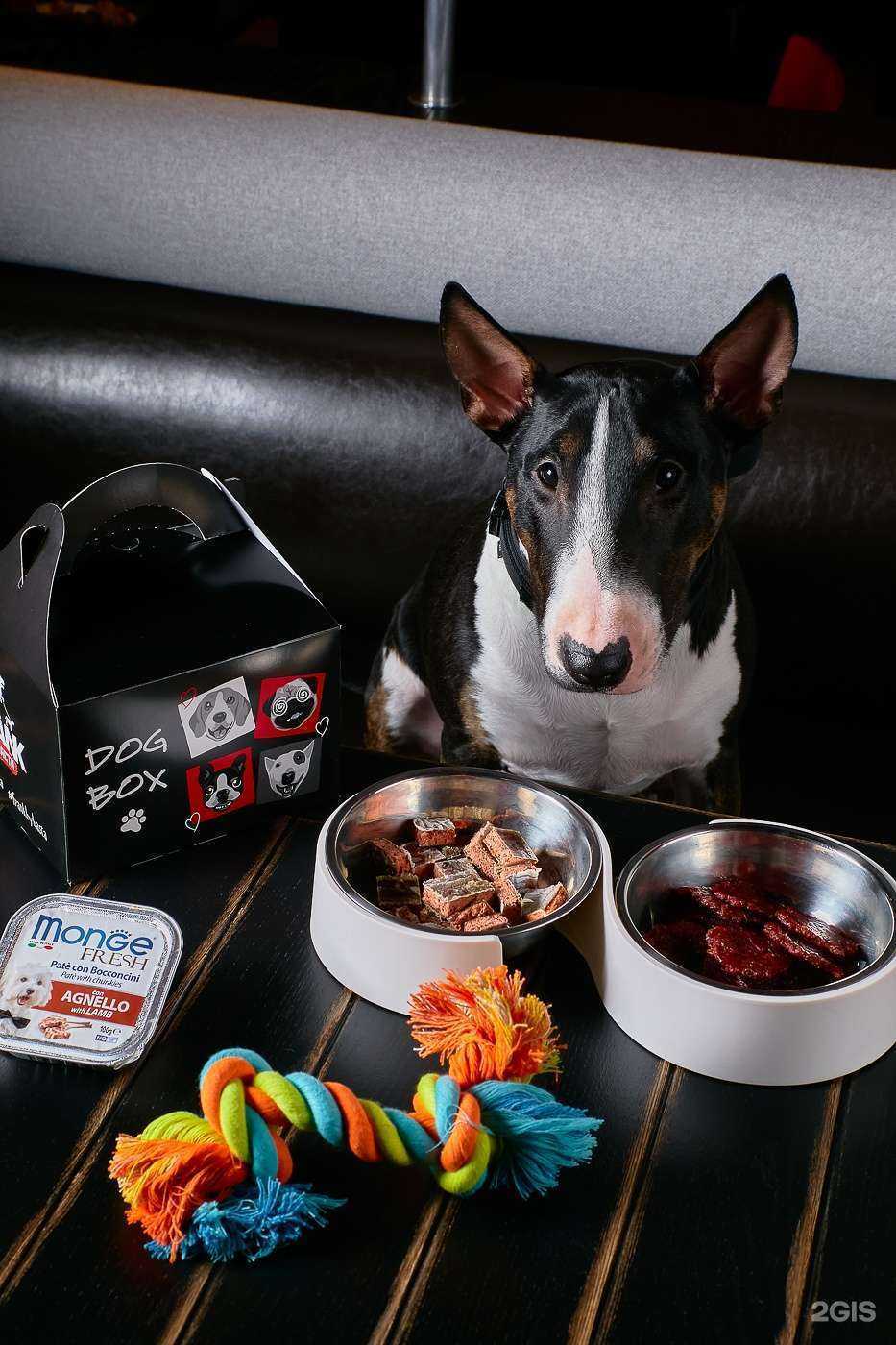 Отзывы на компанию Frank by Баста в г. Краснодар c фото