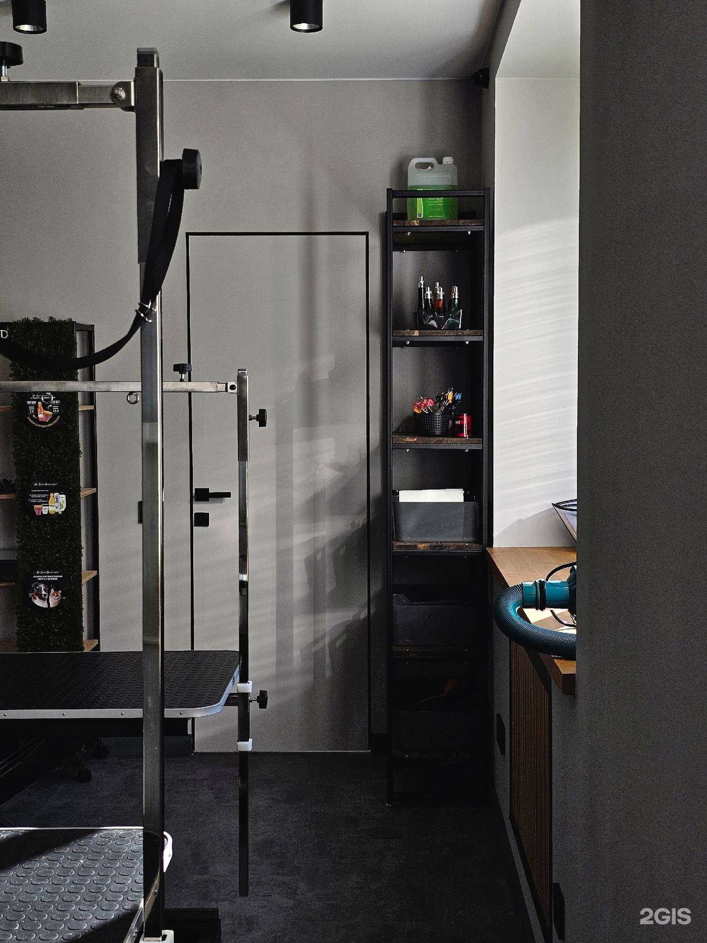 Отзывы на компанию Выдра в Петрозаводске c фото