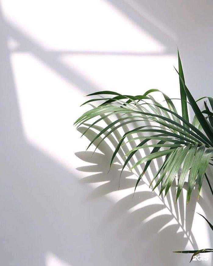 Отзывы на компанию Ecoepil в Воронеже c фото