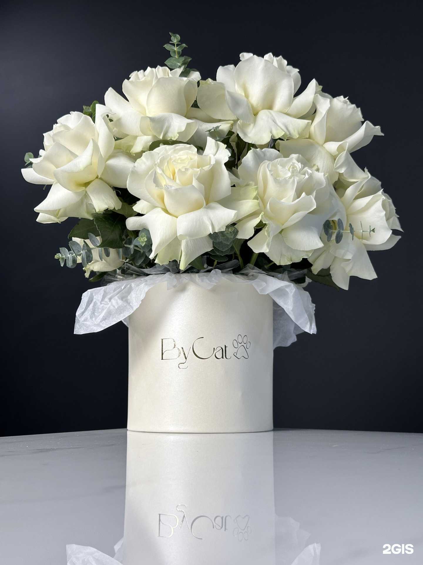 Отзывы на компанию ByCat в Сочи c фото