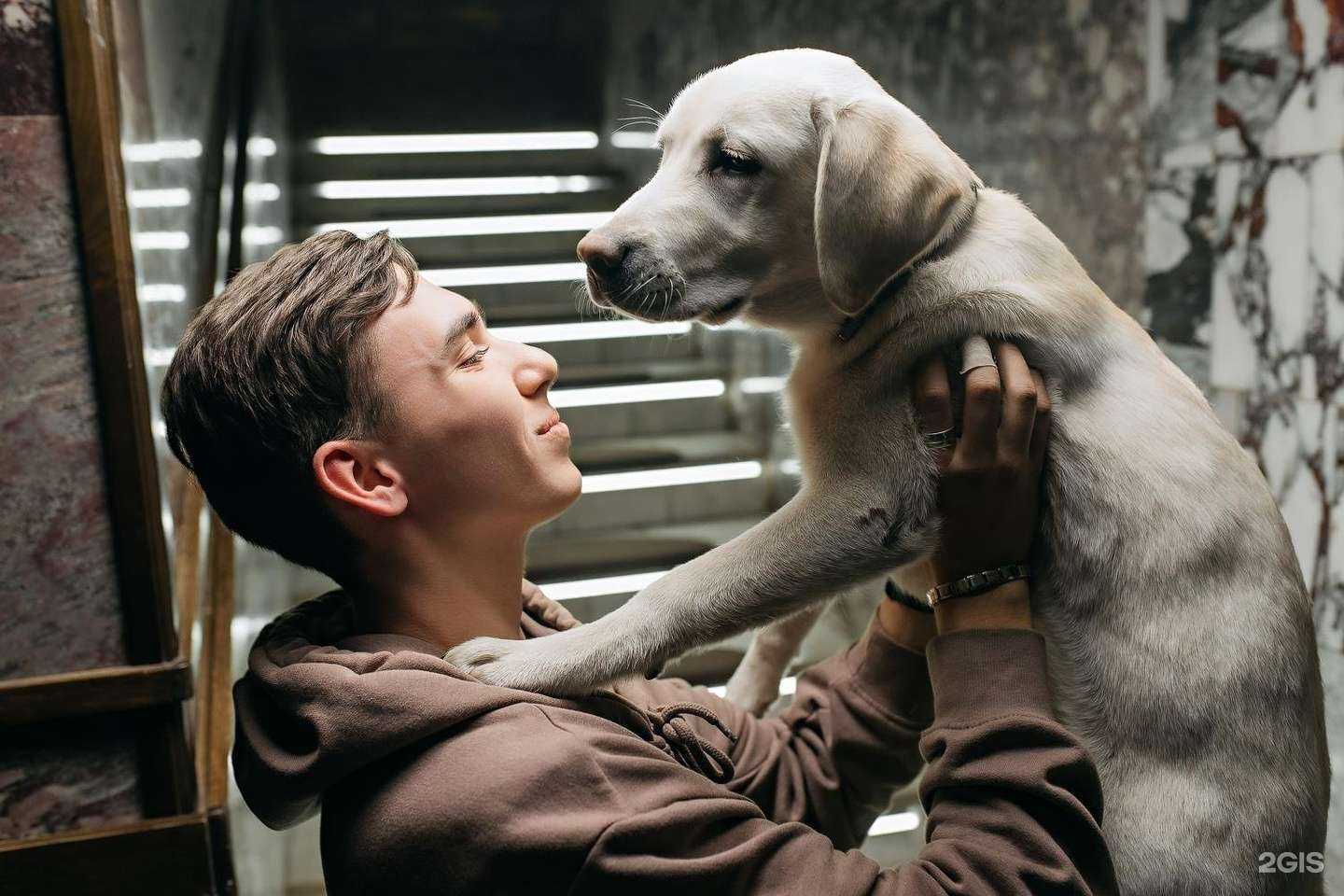 Отзывы на компанию Censored в г. Новосибирск c фото