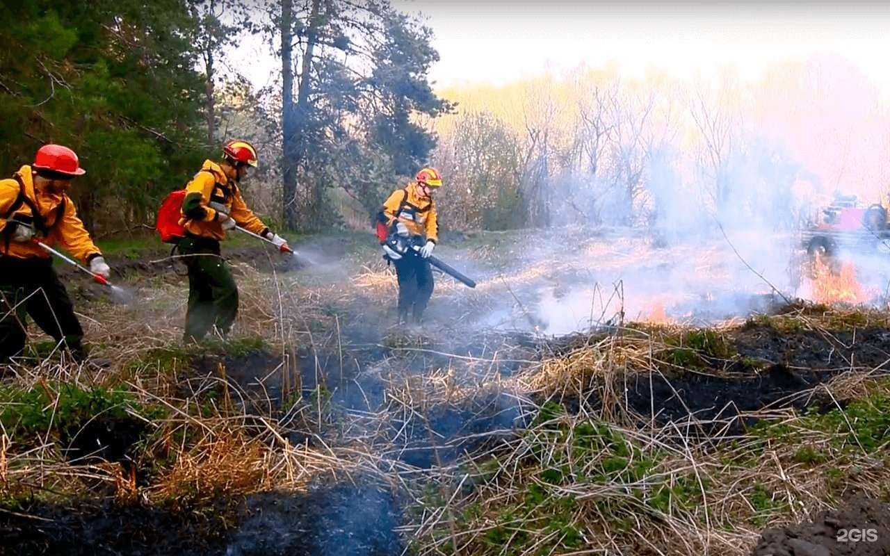 Отзывы на компанию Лесхозснаб в г. Пушкино c фото