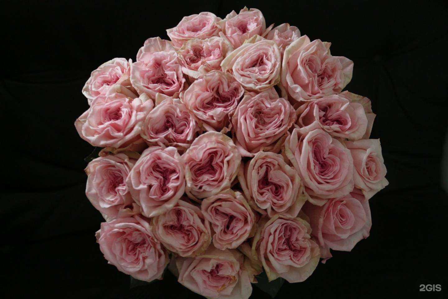 Отзывы на компанию Flower Paradise в Красноярске c фото