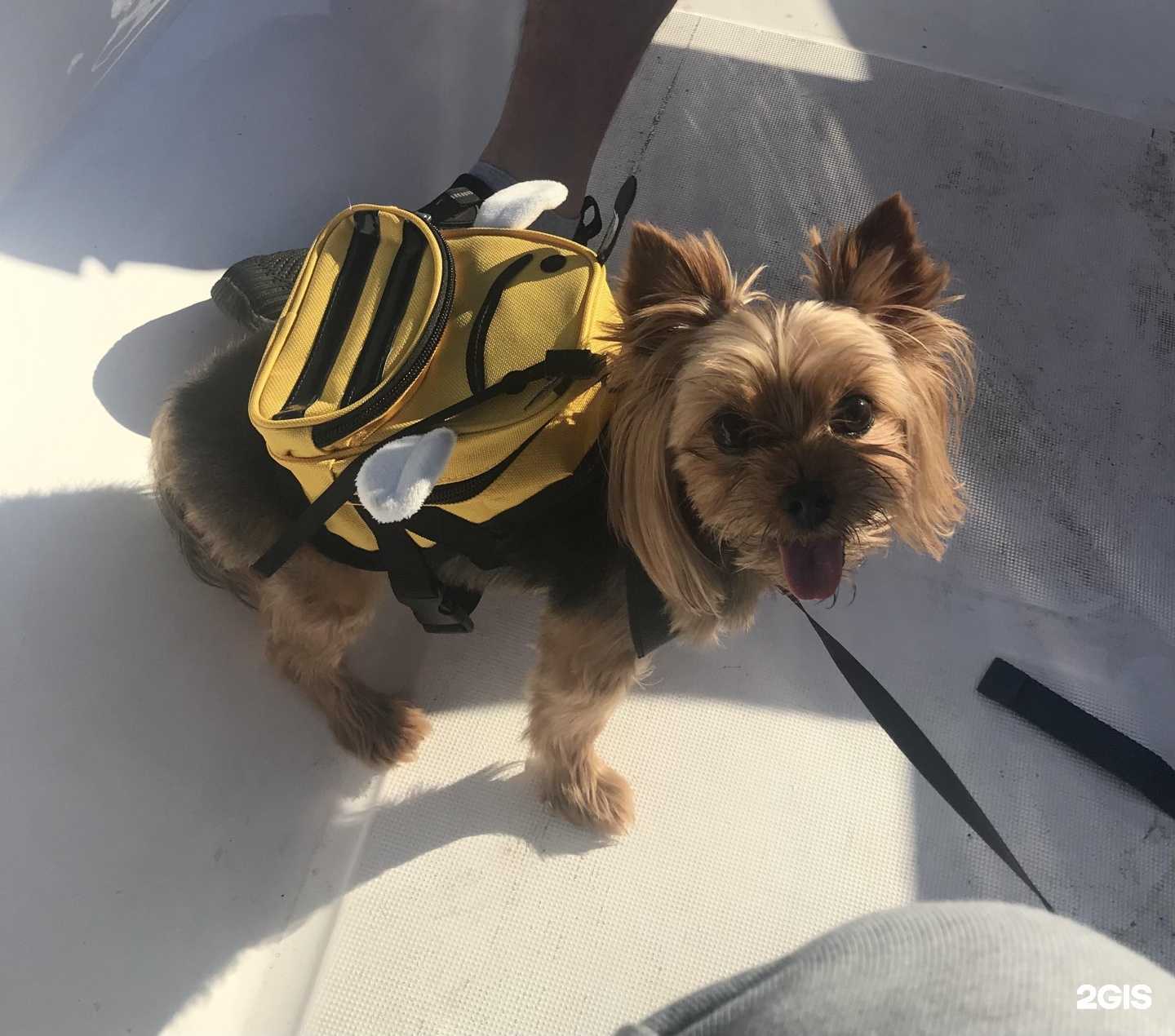 Отзывы на компанию Магазин зоотоваров в Красноярске c фото