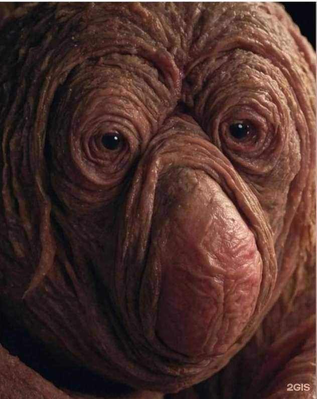 Отзывы на компанию Карьертехсервис в Челябинске c фото - фотография 2 из 2