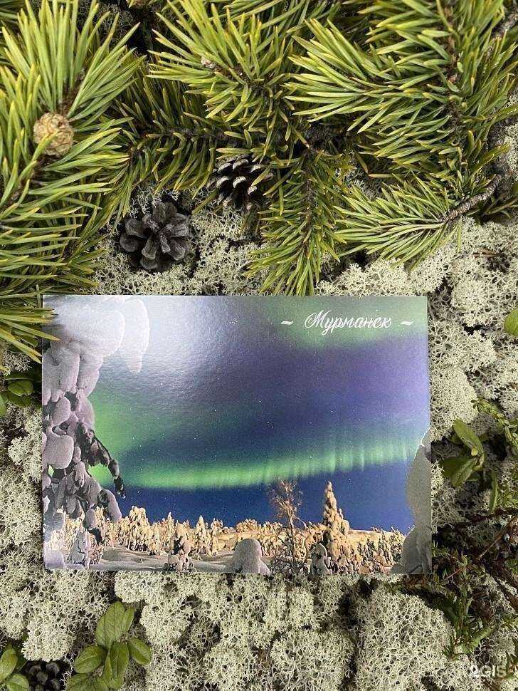 Отзывы на компанию Футболка 51 в Мурманске c фото