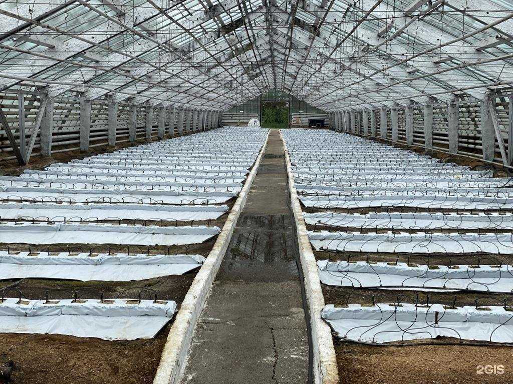 Отзывы на компанию Кафе в Иркутске c фото