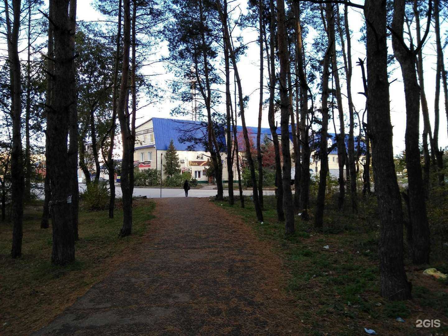 Отзывы на компанию Сакура в Ульяновске c фото - фотография 2 из 2