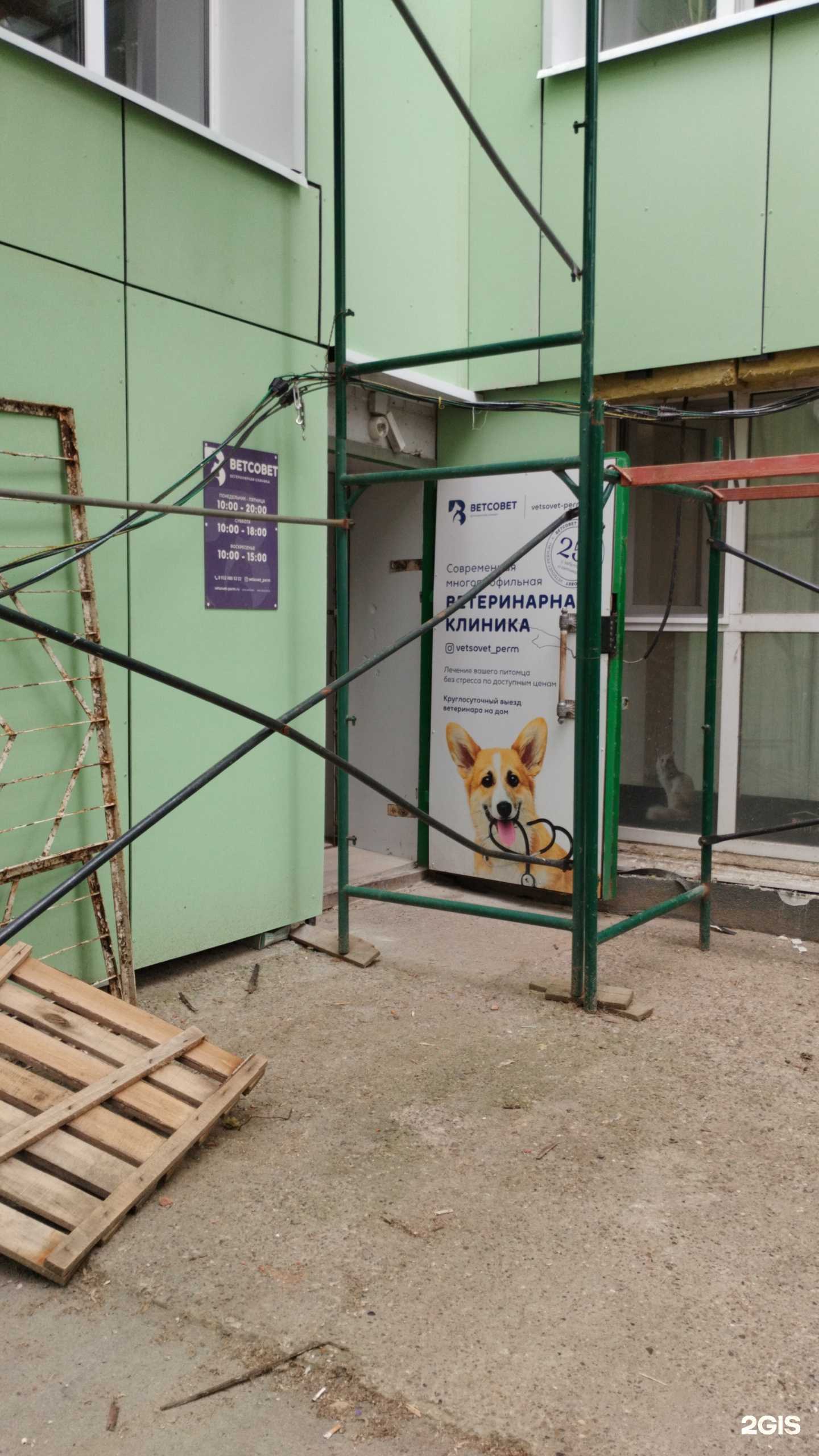 Отзывы на компанию ВетСовет в Перми c фото