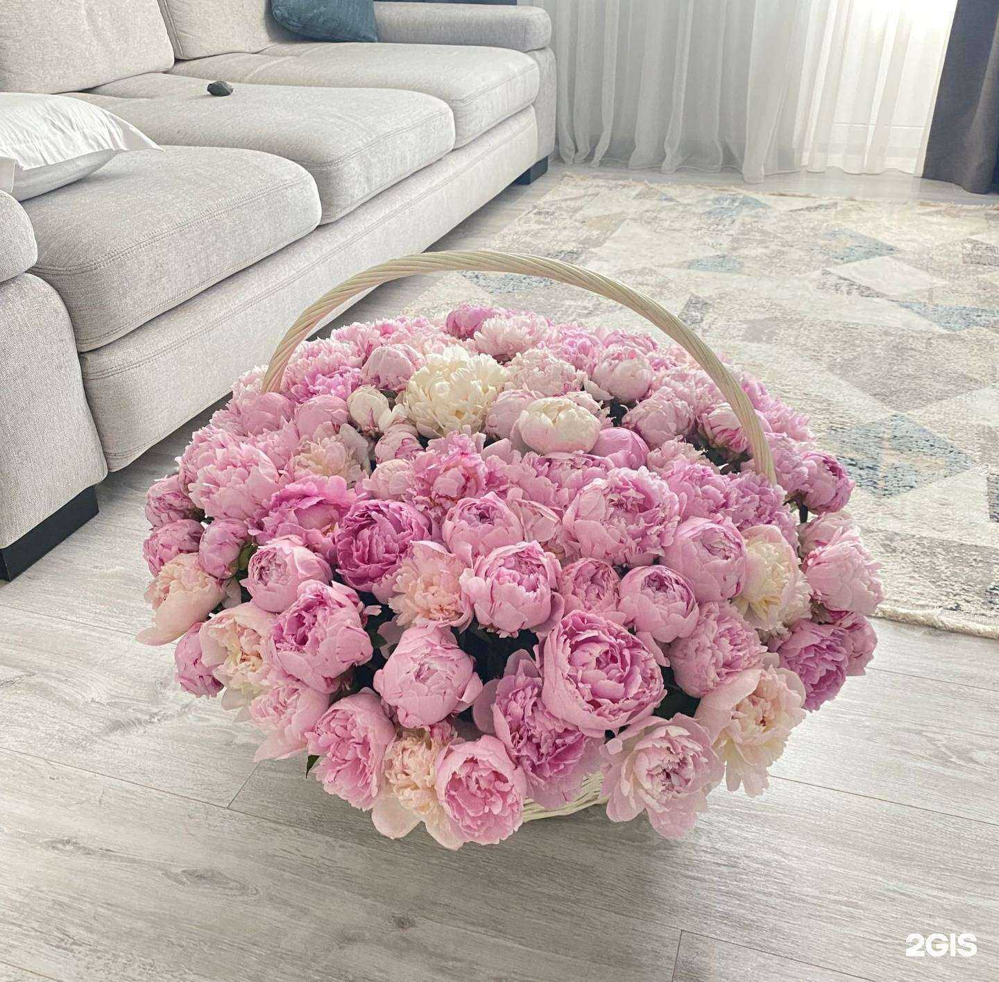 Отзывы на компанию Flora K в г. Ставрополь c фото