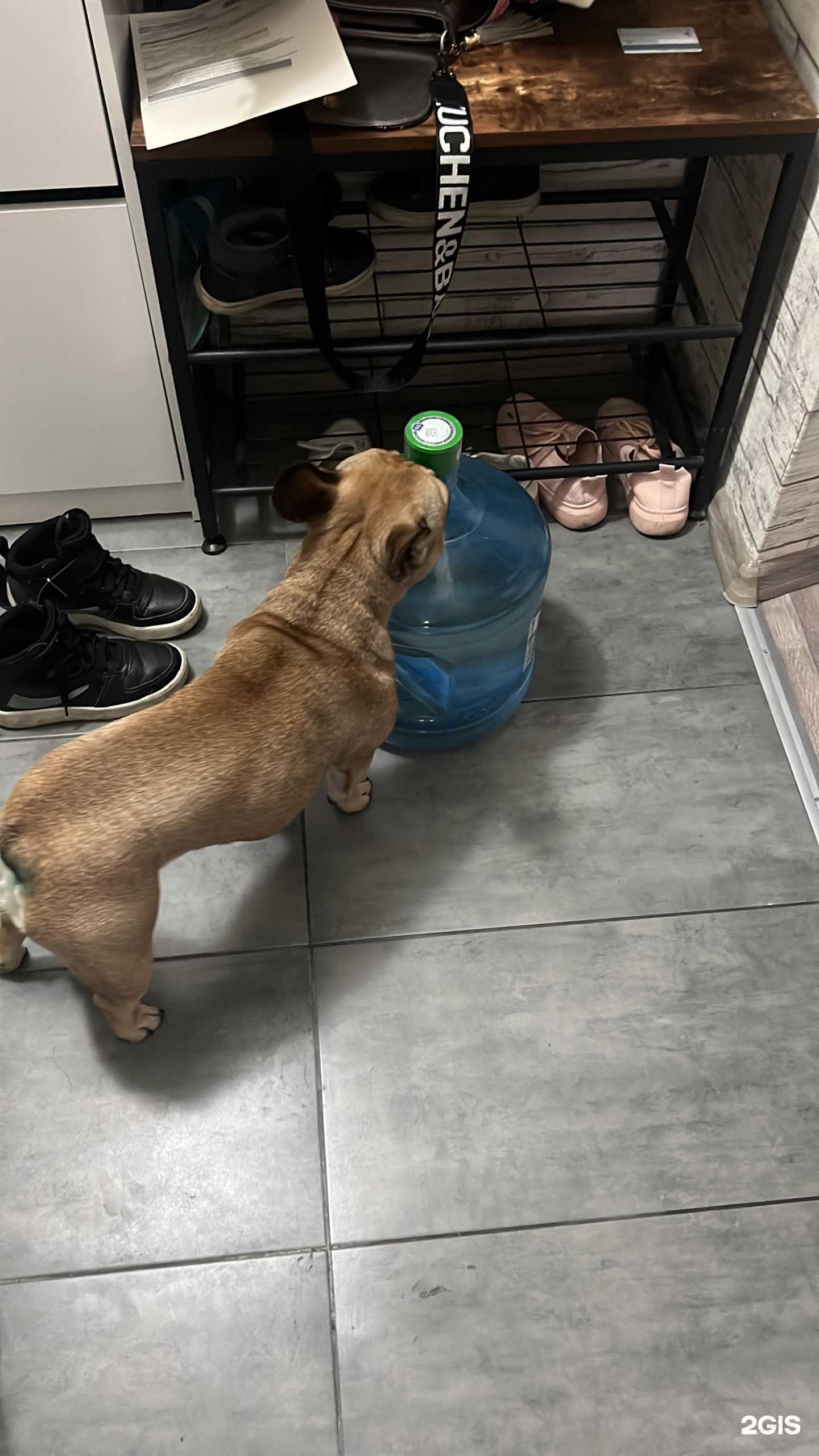 Отзывы на компанию Ниагара в г. Челябинск c фото