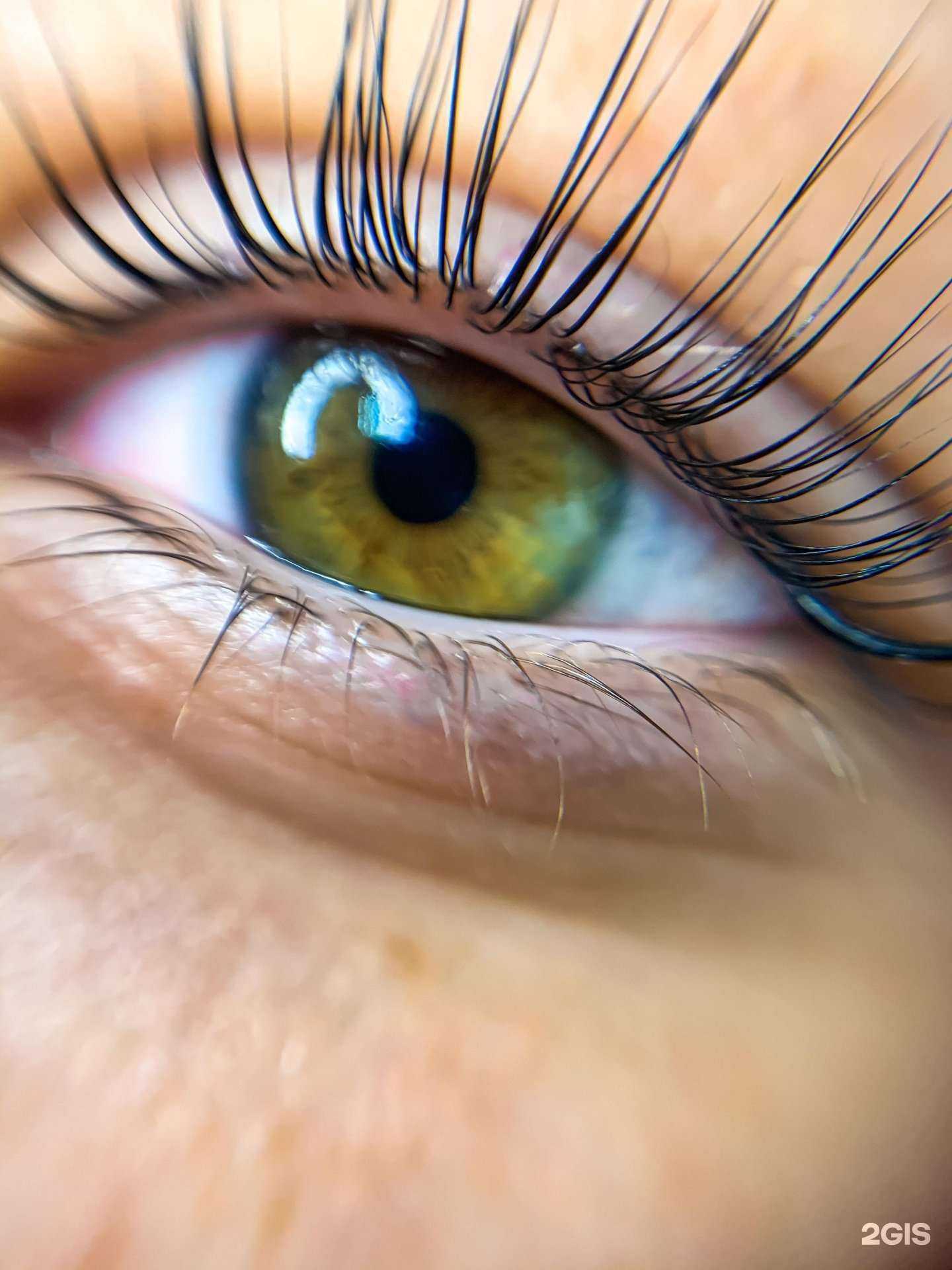 Отзывы на компанию Gold Мастер в Липецке c фото