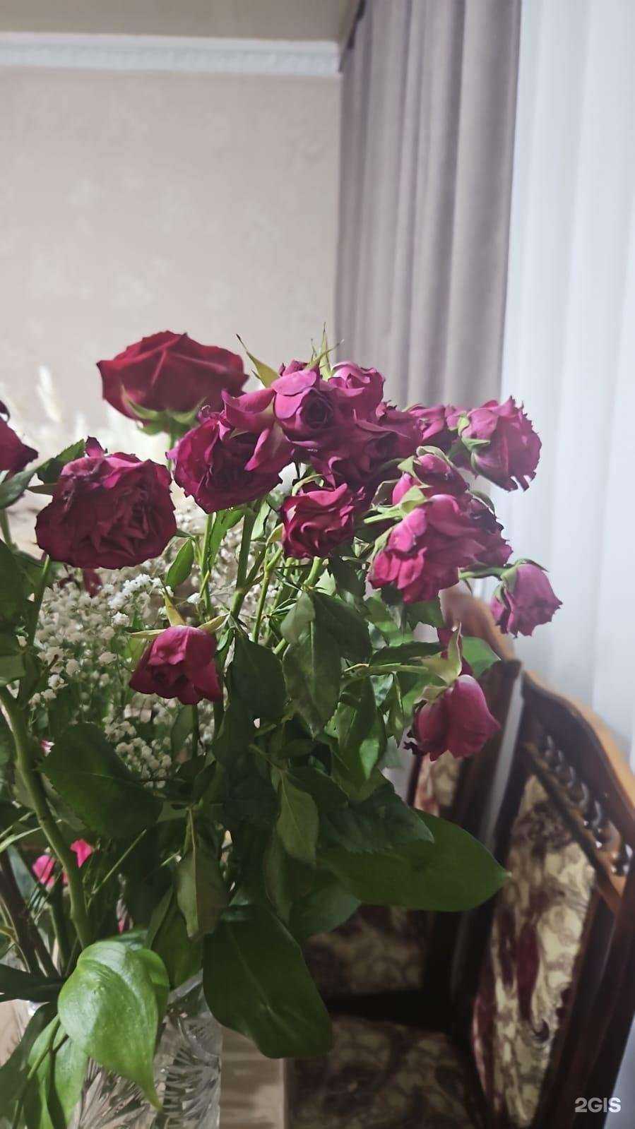 Отзывы на компанию Жасмин в г. Дербент c фото